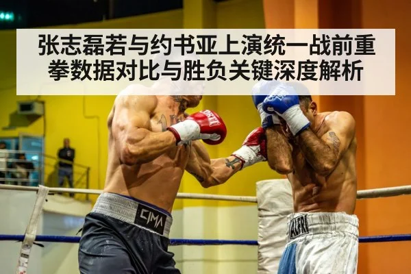 张志磊若与约书亚上演统一战前重拳数据对比与胜负关键深度解析