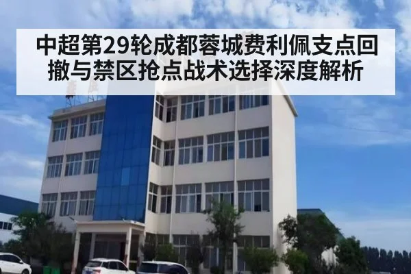 中超第29轮成都蓉城费利佩支点回撤与禁区抢点战术选择深度解析