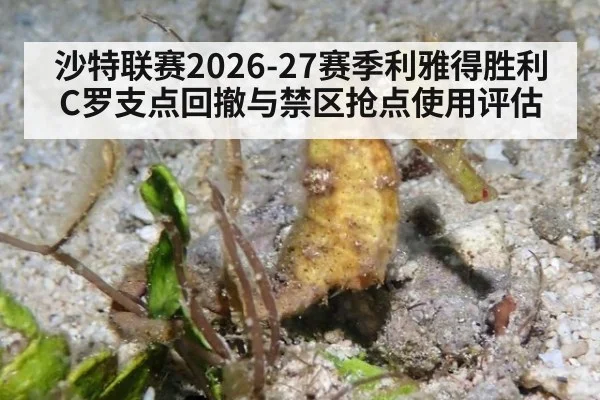 沙特联赛2026-27赛季利雅得胜利C罗支点回撤与禁区抢点使用评估